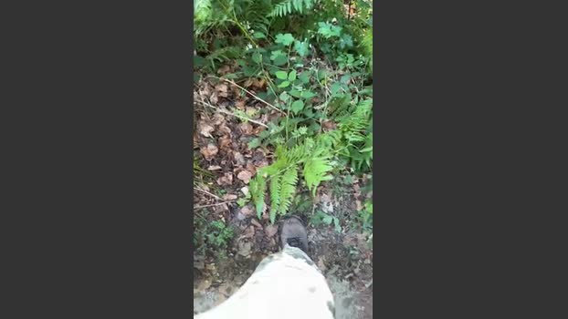 Zorro2024 skinny Webcam SHOW @ Cam4 23-06-2025