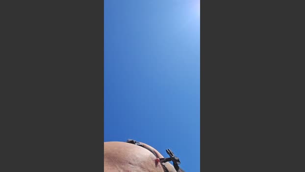 Beardedveteran big Webcam SHOW @ Cam4 01-07-2025