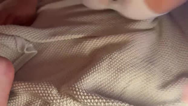 swotterFF harddick Webcam SHOW @ Cam4 01-07-2025