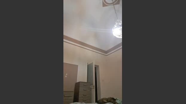 Giochicchio46 analtoy Webcam SHOW @ Cam4 05-07-2025