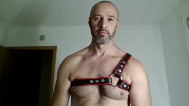 ralfrush gay Webcam SHOW @ Cam4 08-07-2025