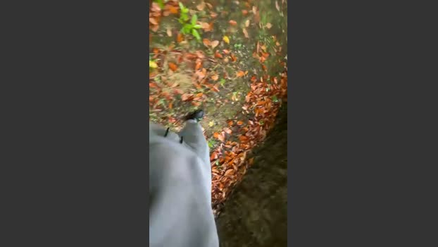 Alcindogomes fuckhard Webcam SHOW @ Cam4 09-07-2025