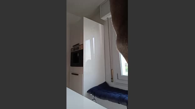 occhifun Topless Webcam SHOW @ Cam4 09-07-2025