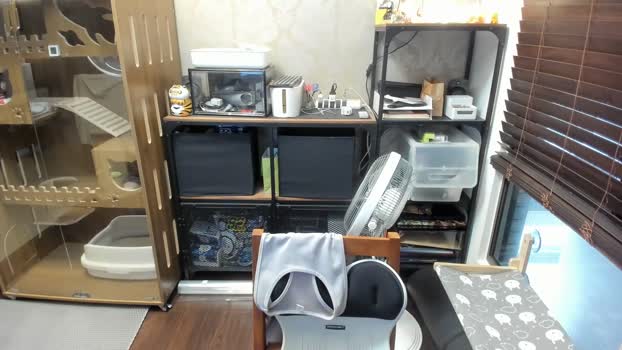 UransW dirty Webcam SHOW @ Cam4 14-07-2025