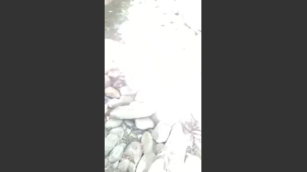 tigger1 fingers Webcam SHOW @ Cam4 14-07-2025
