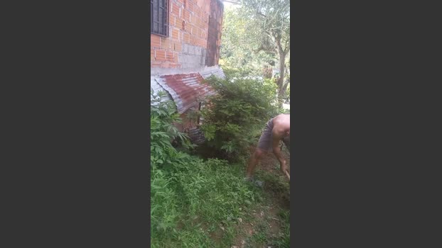 daven_hopperr analtoy Webcam SHOW @ Cam4 18-07-2025