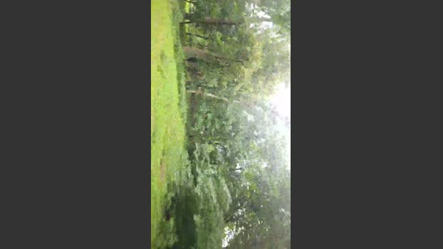 passiv82 moan Webcam SHOW @ Cam4 20-07-2025