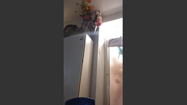 Xxxcamxxx69 sexyfeet Webcam SHOW @ Cam4 23-07-2025