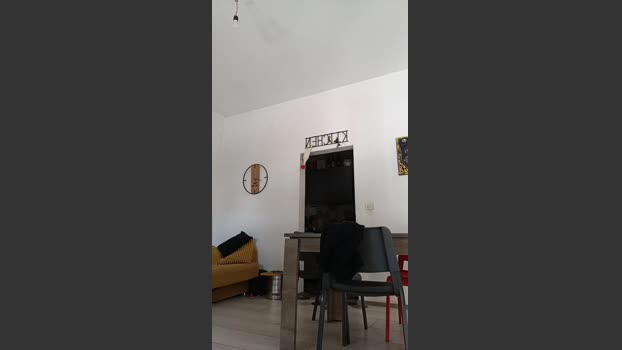 sniffetto87 jerkoff Webcam SHOW @ Cam4 23-07-2025