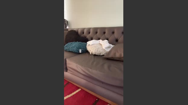 superkinghot ass Webcam SHOW @ Cam4 22-07-2025