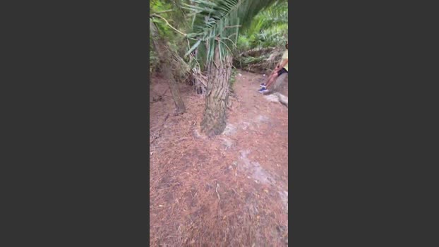 grx_22 sex Webcam SHOW @ Cam4 25-07-2025