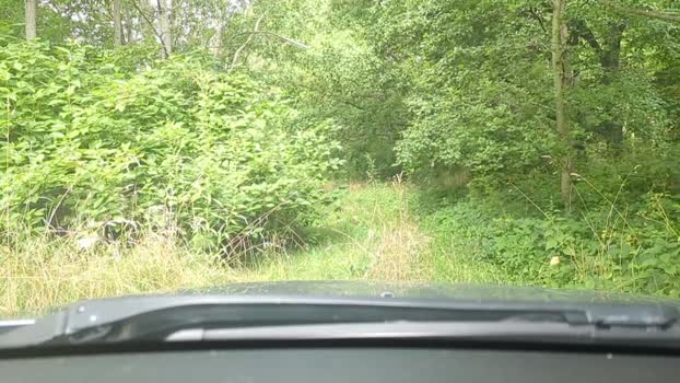 maglernen fingering Webcam SHOW @ Cam4 27-07-2025