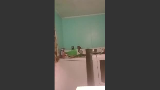 Littleguy25 sexyfeet Webcam SHOW @ Cam4 29-07-2025