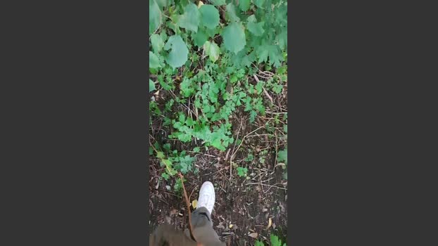 hotbody18y bigcock Webcam SHOW @ Cam4 28-07-2025