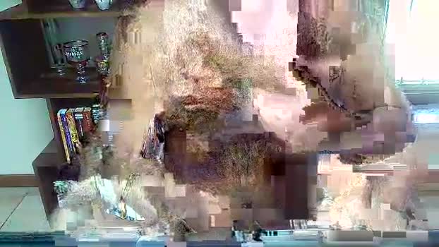 urkam4 fuckface Webcam SHOW @ Cam4 29-07-2025