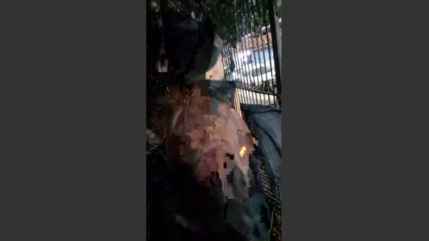 Asasass fuckhard Webcam SHOW @ Cam4 31-07-2025