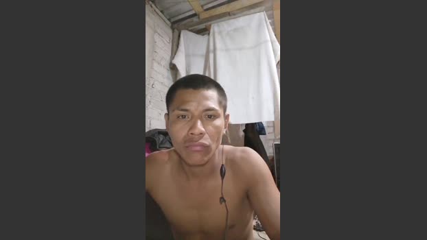 Negro_vergoon