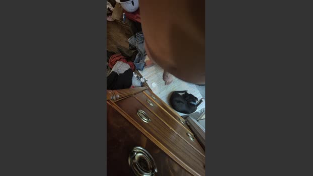 Beardedveteran jerkoff Webcam SHOW @ Cam4 01-08-2025