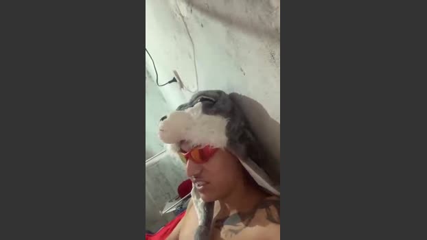 Novinrec81 prettyface Webcam SHOW @ Cam4 02-08-2025