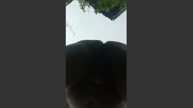 zigma6