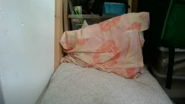 Juju78juju Cam Webcam SHOW @ Cam4 04-08-2025