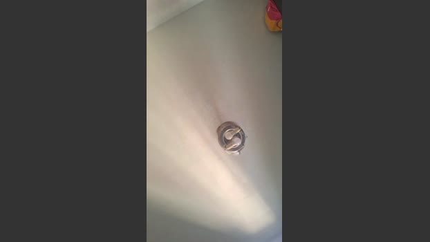 tavi_abrao_hot horny Webcam SHOW @ Cam4 04-08-2025