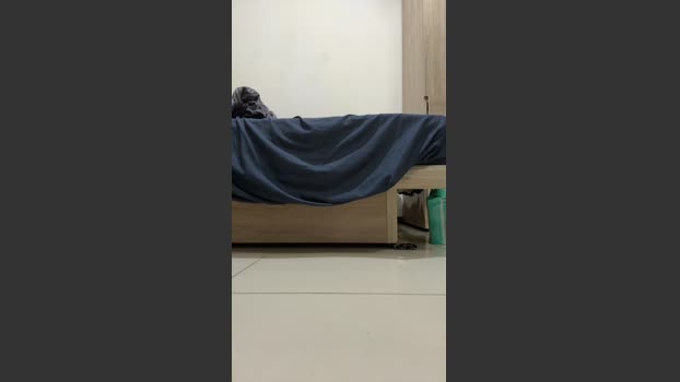 Hotbottom41 strip Webcam SHOW @ Cam4 05-08-2025