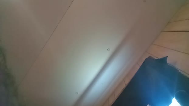 Littleguy25 suck Webcam SHOW @ Cam4 05-08-2025