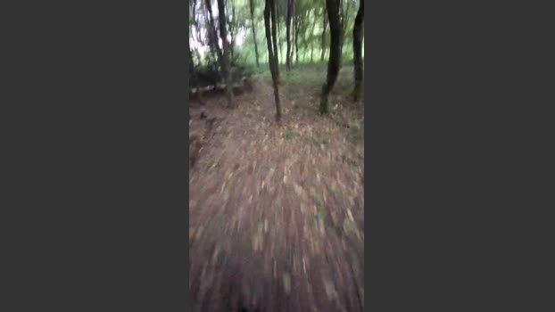 taxidancer1 natural Webcam SHOW @ Cam4 05-08-2025