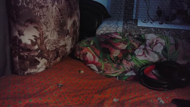 jamismu bj-dildo Webcam SHOW @ Cam4 07-08-2025