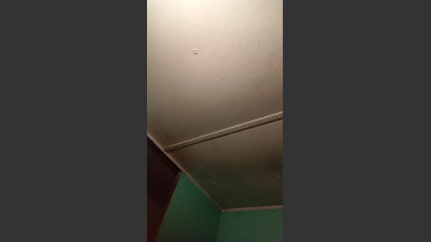 Littleguy25 analtoy Webcam SHOW @ Cam4 08-08-2025
