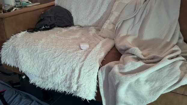 TheRealHoff86 strip Webcam SHOW @ Cam4 09-08-2025