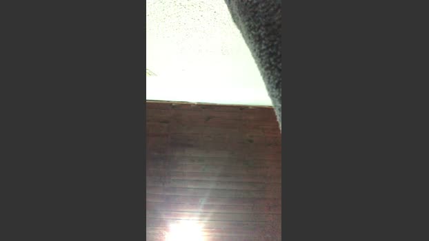 Pjjunior_ sex Webcam SHOW @ Cam4 14-08-2025