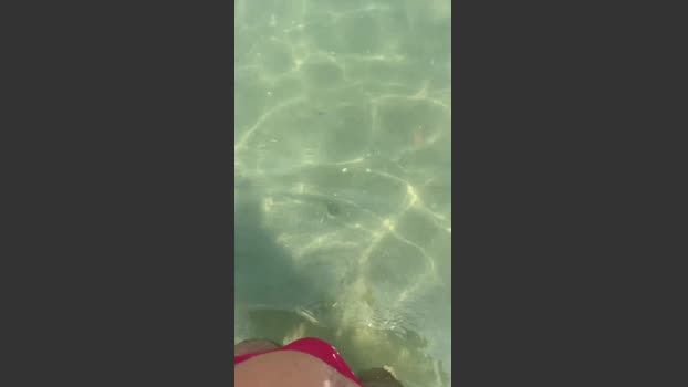 danicloud1 jerking Webcam SHOW @ Cam4 14-08-2025