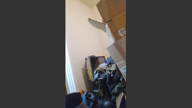 Beardedveteran horny Webcam SHOW @ Cam4 16-08-2025