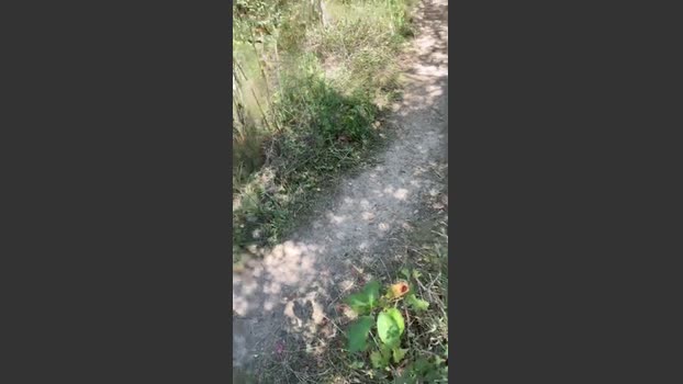 GeilerSack65 Porn Webcam SHOW @ Cam4 18-08-2025