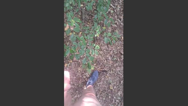 hotbody18y orgasm Webcam SHOW @ Cam4 18-08-2025