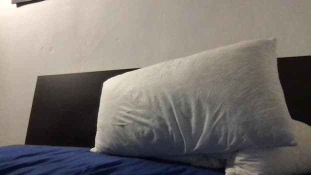 LeonToPlay bigass Webcam SHOW @ Cam4 19-08-2025