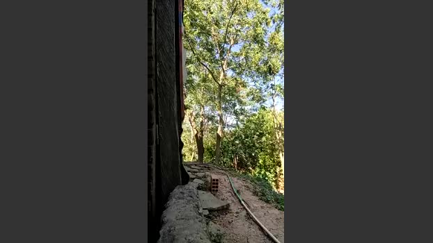 Richard_2 suckshow Webcam SHOW @ Cam4 20-08-2025