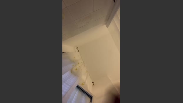 pepinoverd Ass Webcam SHOW @ Cam4 22-08-2025