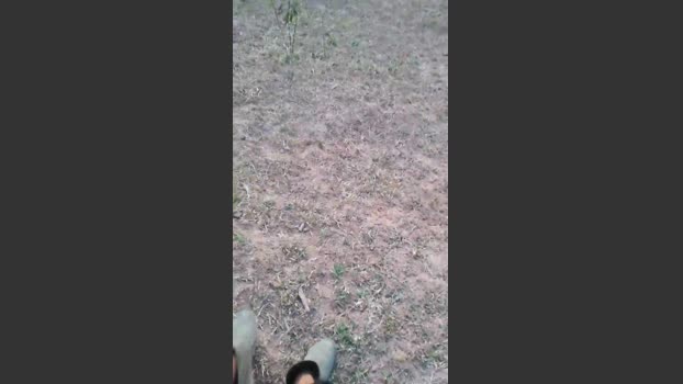 Daddy_capixaba Show Webcam SHOW @ Cam4 23-08-2025