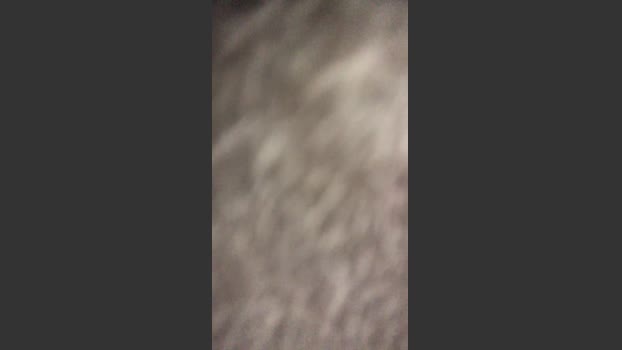 san7891 fuckass Webcam SHOW @ Cam4 24-08-2025