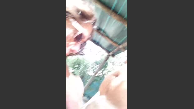 vinci862 blowjob Webcam SHOW @ Cam4 28-08-2025
