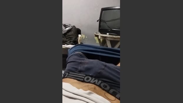 Argentinocho