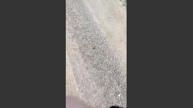 Beardedveteran fuckher Webcam SHOW @ Cam4 30-08-2025