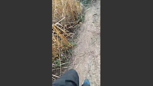 Arturito nude Webcam SHOW @ Cam4 31-08-2025