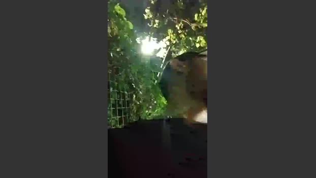Sexylatinogay lush Webcam SHOW @ Cam4 31-08-2025