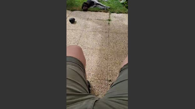 tomsauwer hardcore Webcam SHOW @ Cam4 31-08-2025