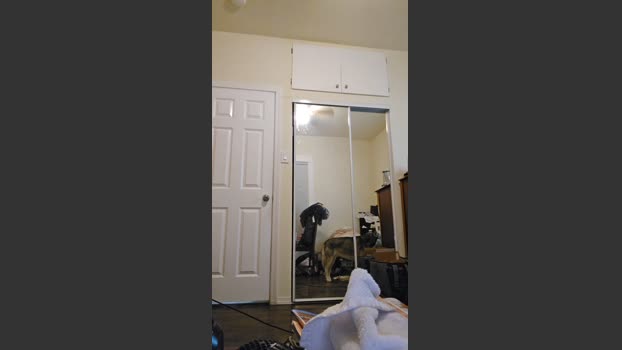 Beardedveteran naughty Webcam SHOW @ Cam4 01-09-2025