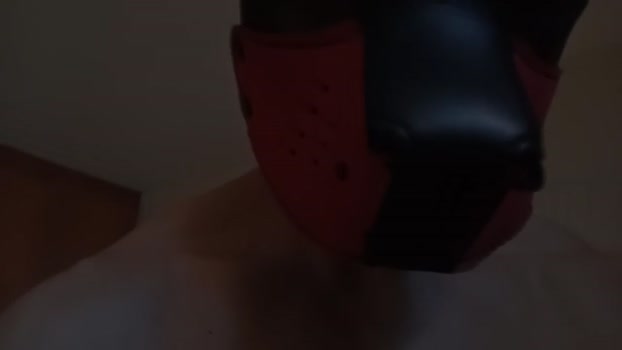 Frabroker lovense Webcam SHOW @ Cam4 03-09-2025